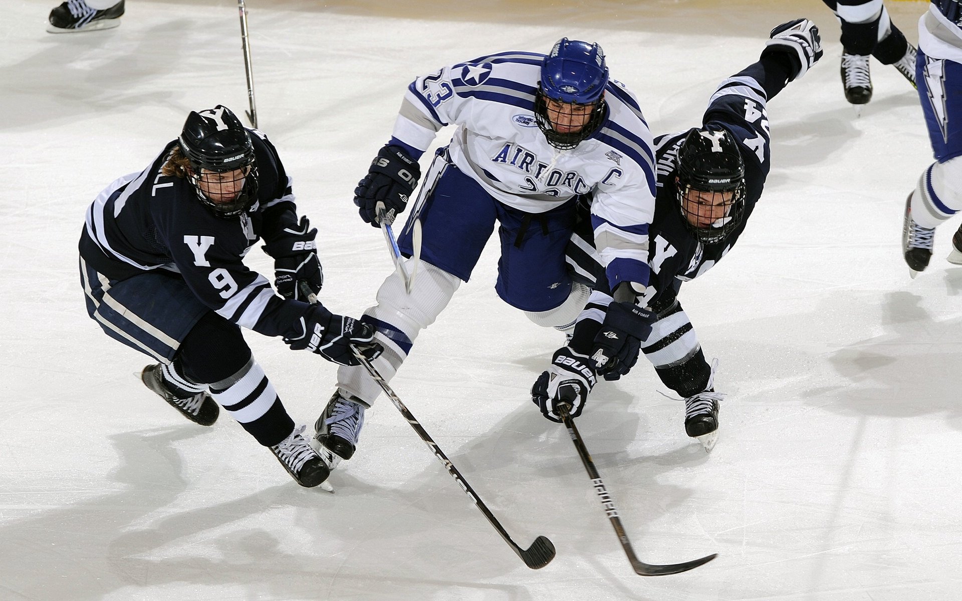 WRC观众指南：最佳观赛点与现场活动，wrc观看